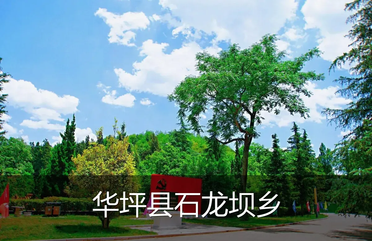 华坪县石龙坝乡