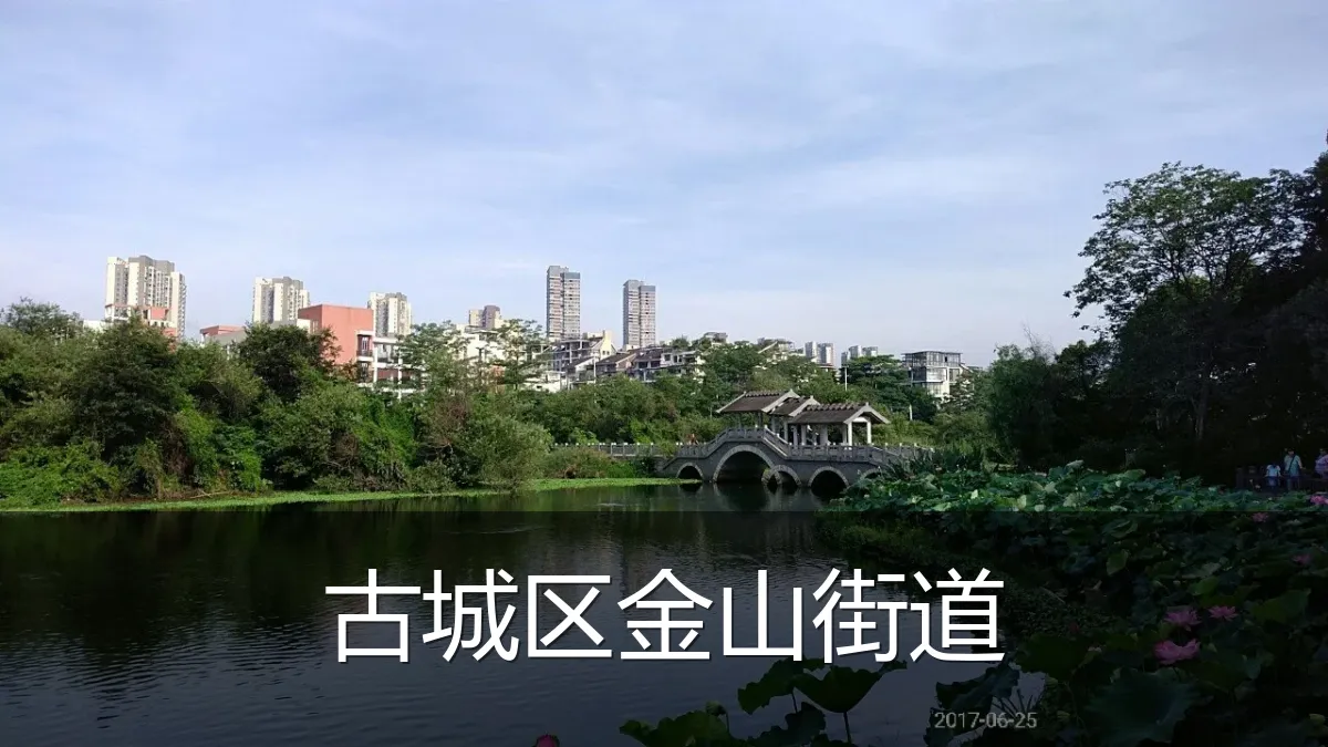 古城区金山街道