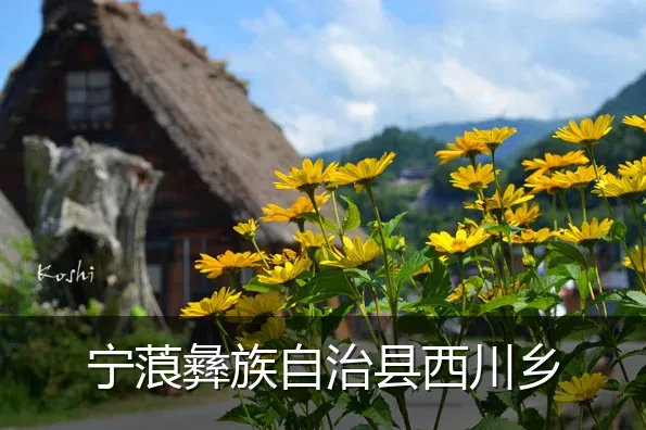 宁蒗彝族自治县西川乡
